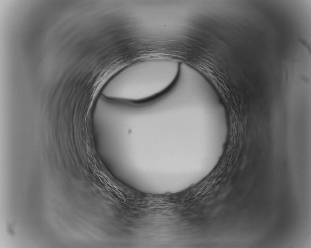 X0000101120289200806261051