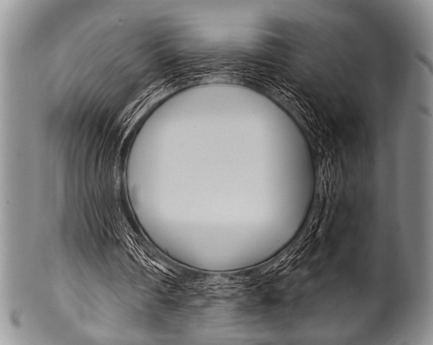 X0000101120290200806261051
