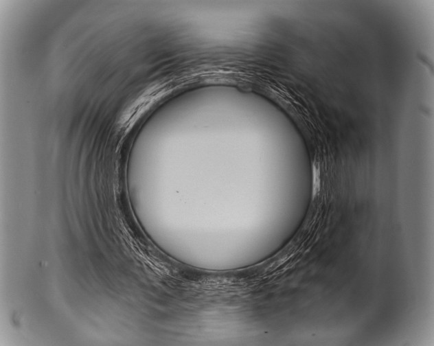 X0000101120291200806261051