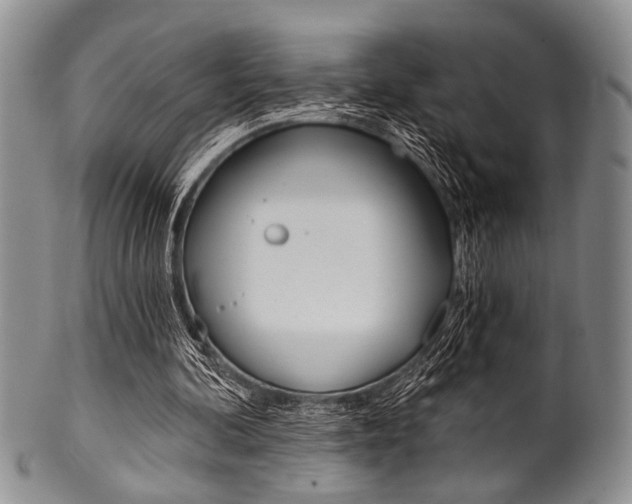 X0000101120292200806261051