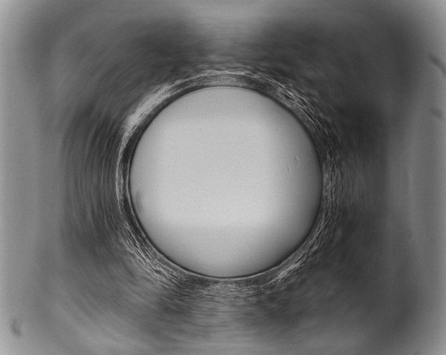 X0000101120294200806261051