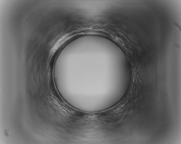 X0000101120295200806261051