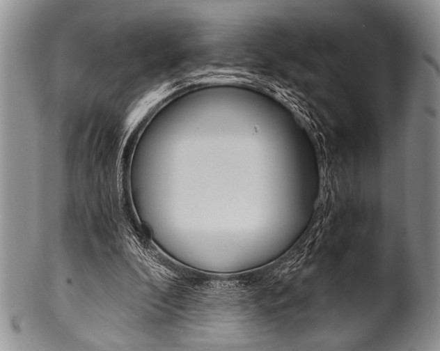 X0000101120296200806261051