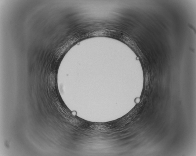 X0000101120297200806261051