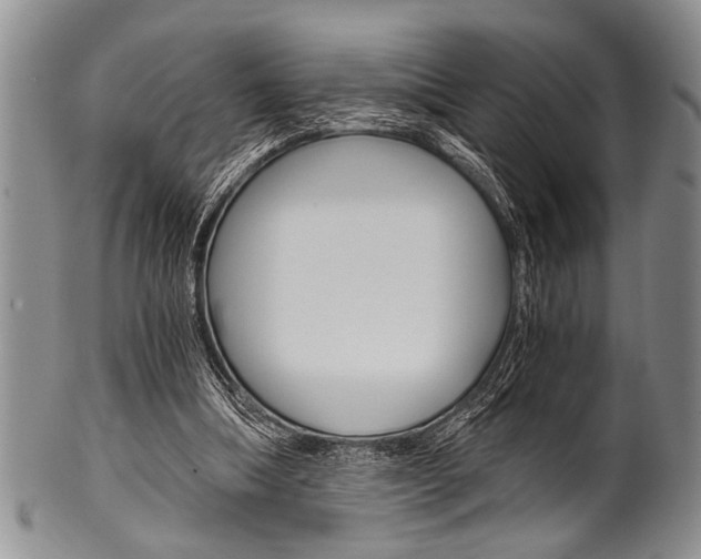 X0000101120298200806261051