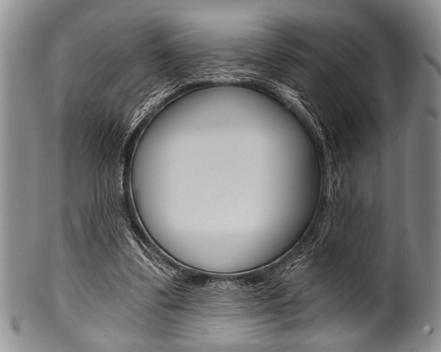 X0000101120299200806261051