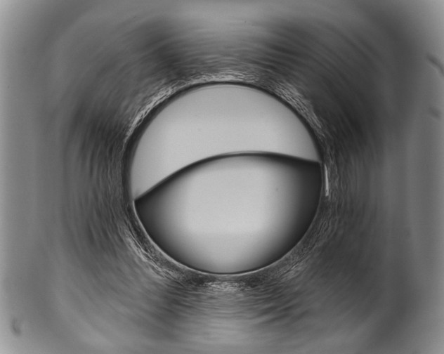 X0000101120300200806261051