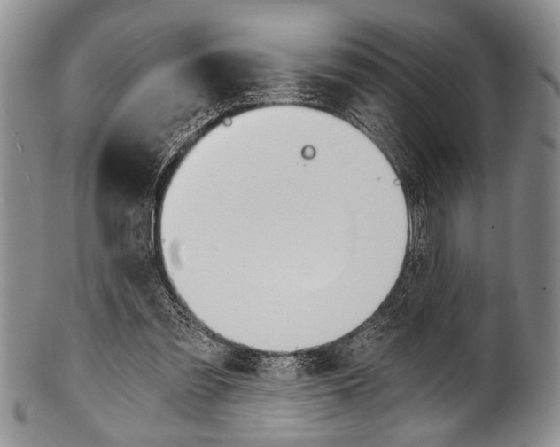 X0000101120301200806261051