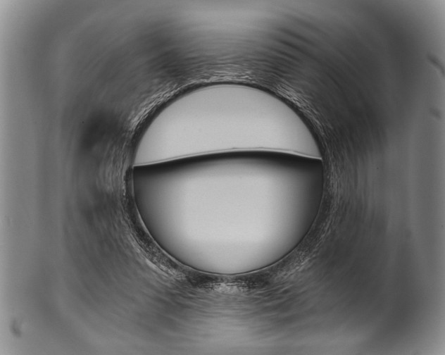 X0000101120303200806261051