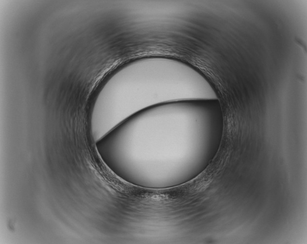 X0000101120304200806261051