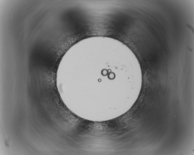X0000101120305200806261051