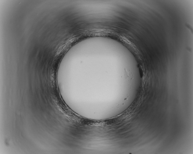 X0000101120306200806261051