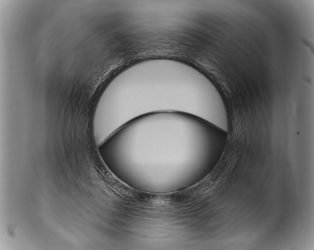 X0000101120308200806261051