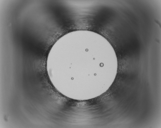 X0000101120309200806261051