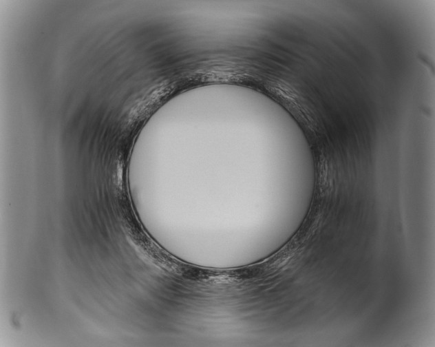 X0000101120310200806261051