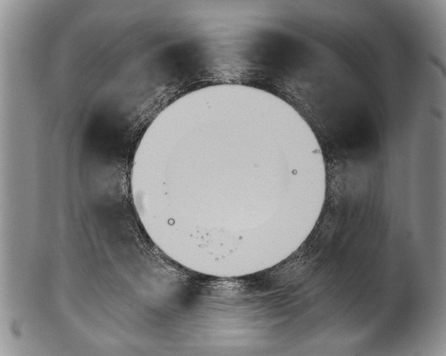 X0000101120313200806261051