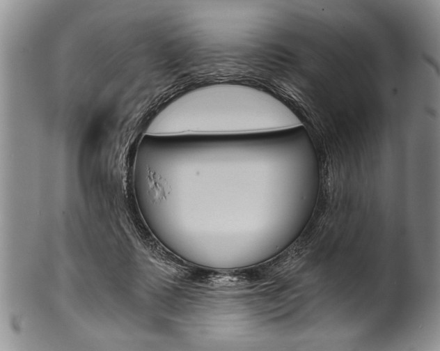 X0000101120315200806261051