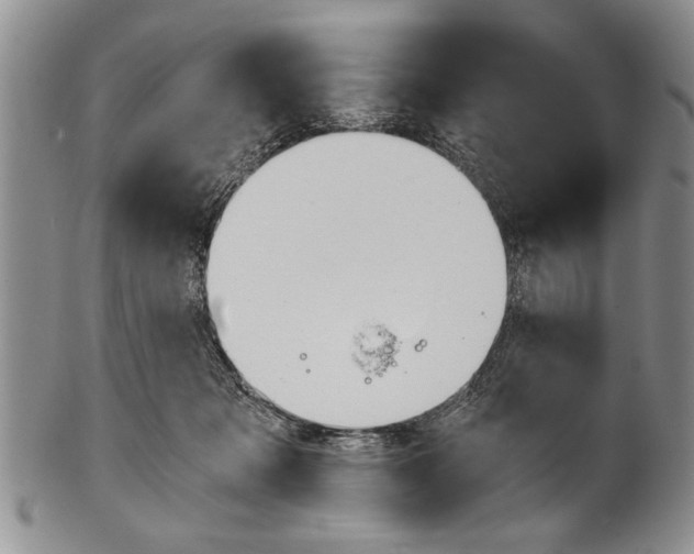 X0000101120317200806261051