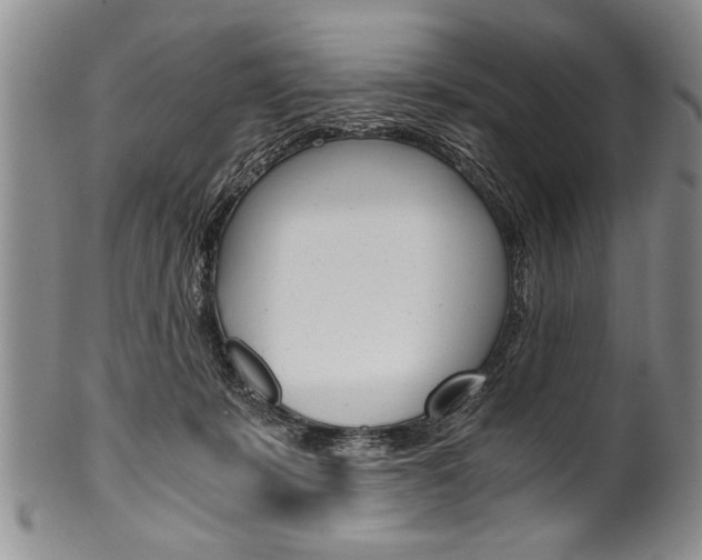 X0000101120319200806261051
