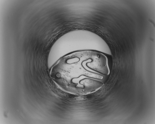 X0000101120320200806261051