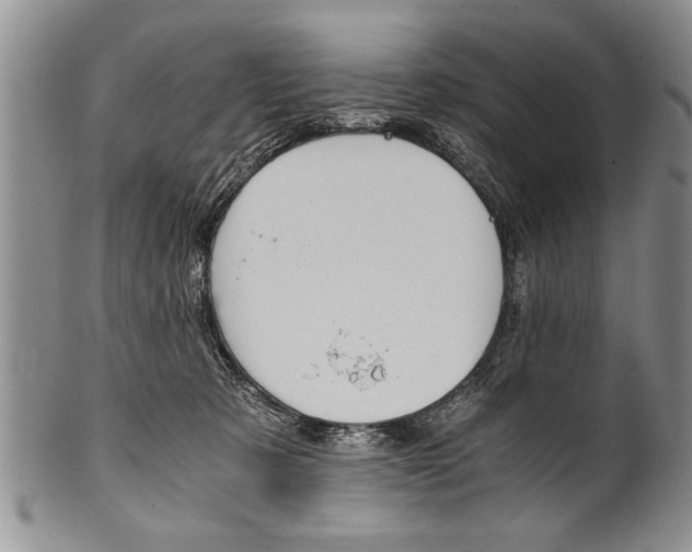X0000101120321200806261051