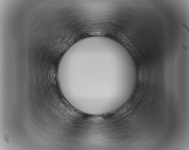 X0000101120322200806261051
