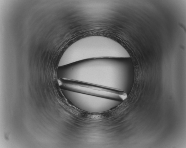 X0000101120324200806261051