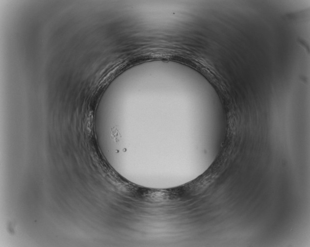 X0000101120325200806261051