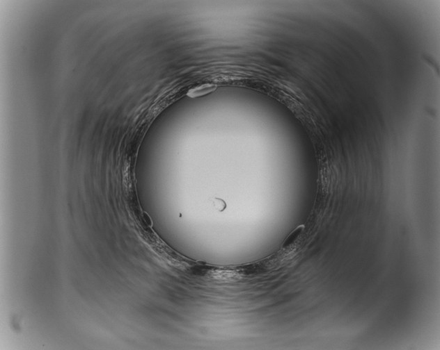 X0000101120327200806261051