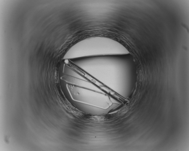 X0000101120328200806261051