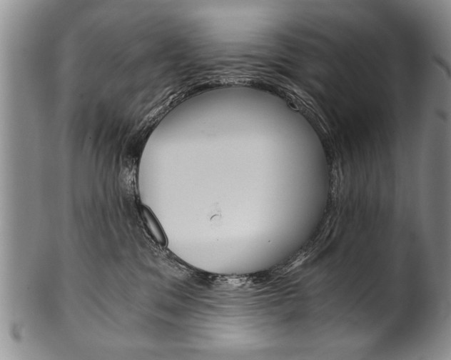 X0000101120329200806261051