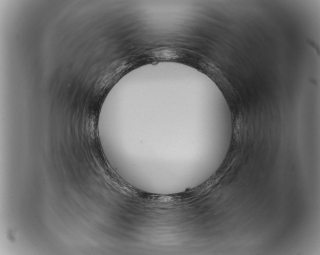 X0000101120330200806261051
