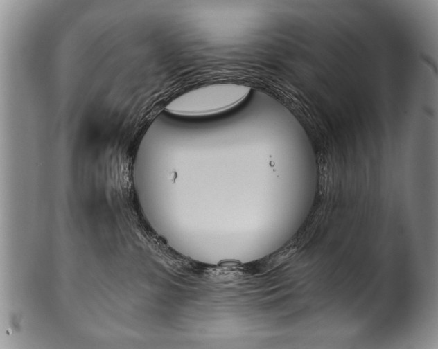 X0000101120331200806261051