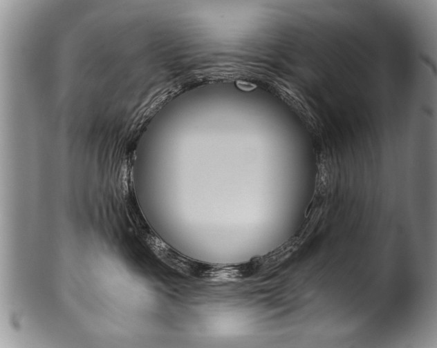 X0000101120333200806261051