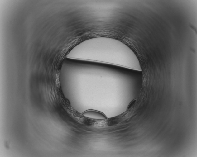 X0000101120335200806261051