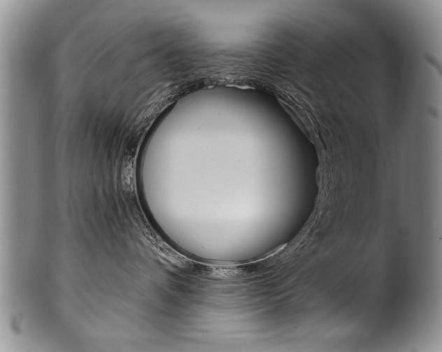 X0000101120336200806261051