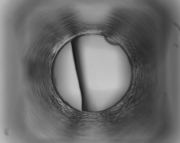 X0000101120337200806261050