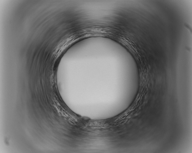 X0000101120338200806261050