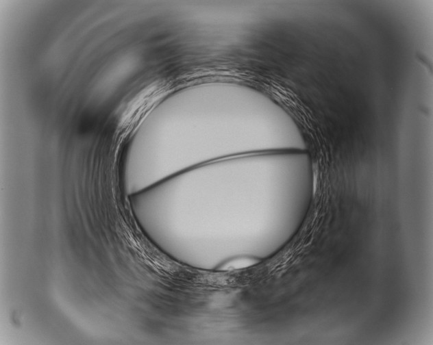 X0000101120339200806261050