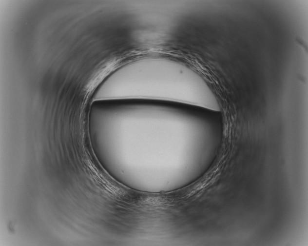 X0000101120341200806261050