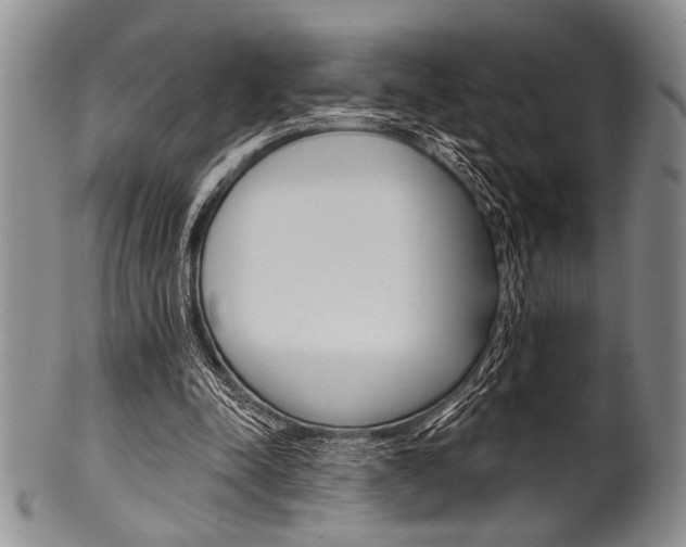 X0000101120342200806261050