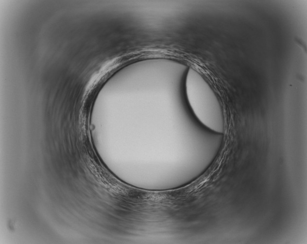 X0000101120343200806261050