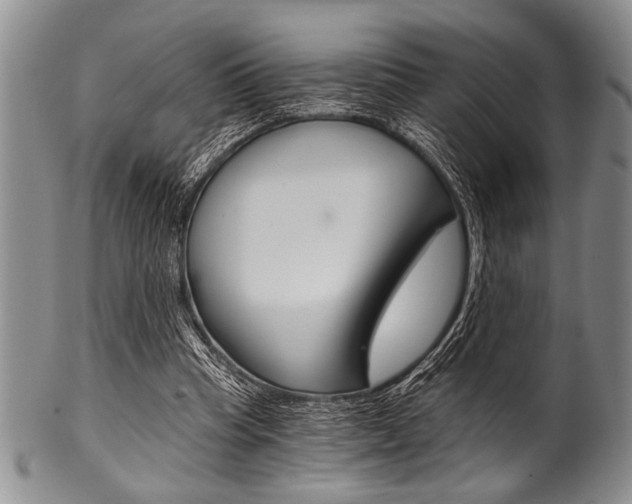 X0000101120345200806261050