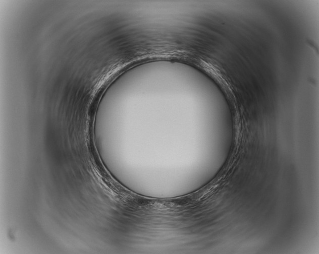 X0000101120346200806261050