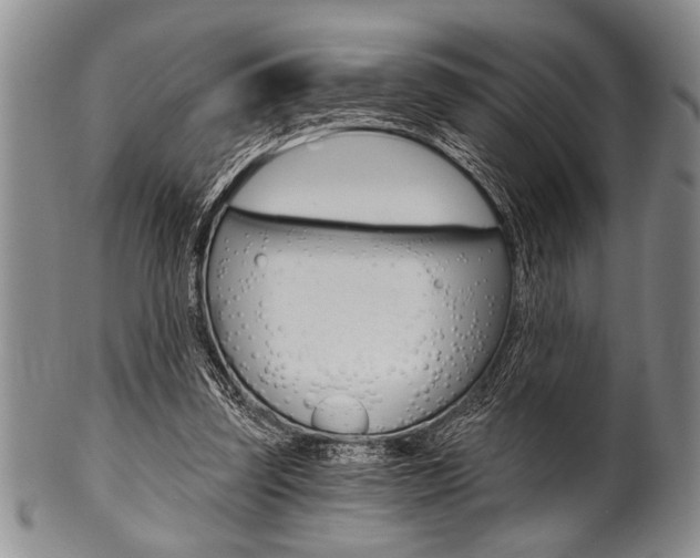X0000101120347200806261050