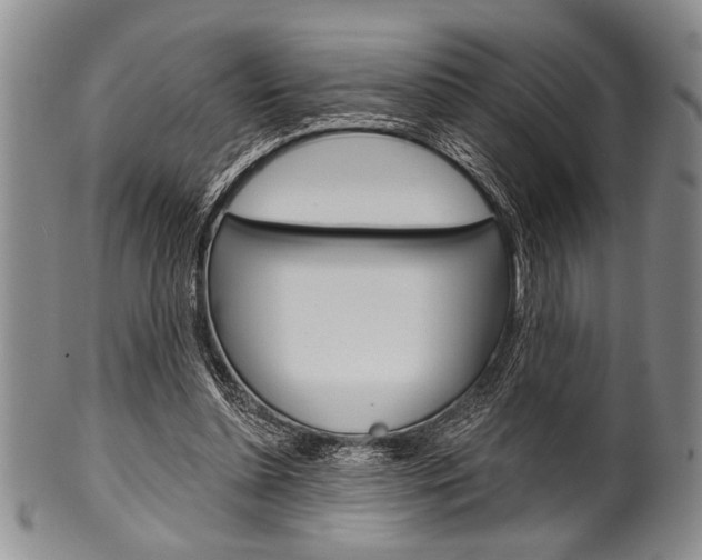 X0000101120348200806261050