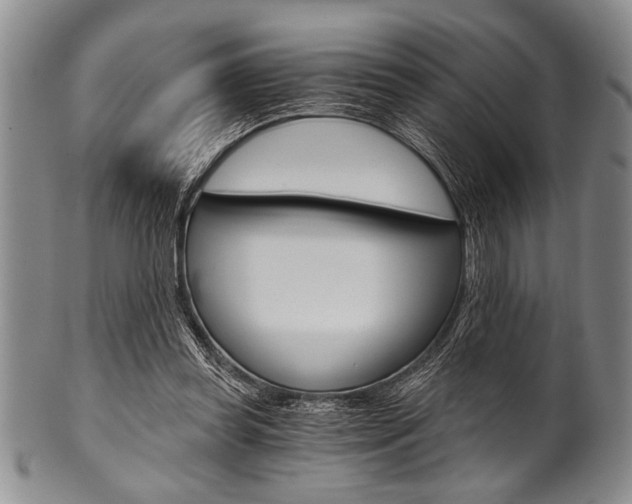 X0000101120349200806261050
