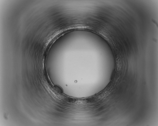 X0000101120350200806261050
