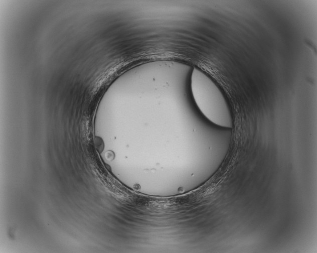 X0000101120351200806261050