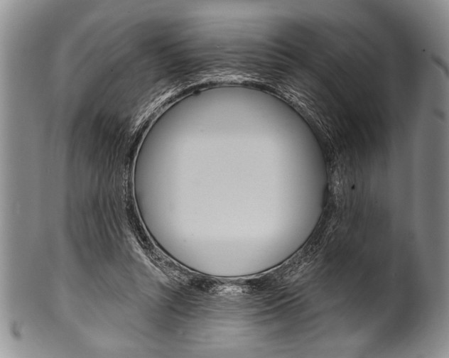 X0000101120352200806261050